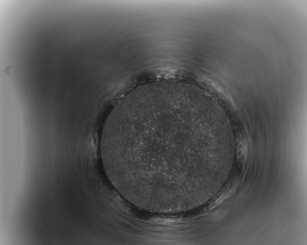 X0000095900661200801181247