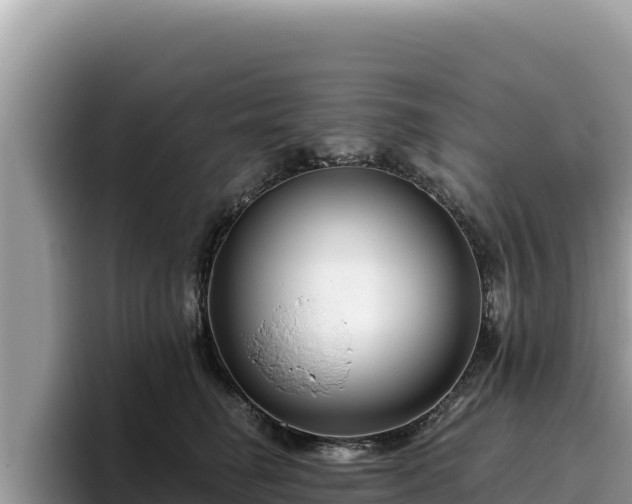 X0000095900662200801181247