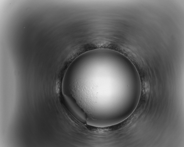 X0000095900664200801181247