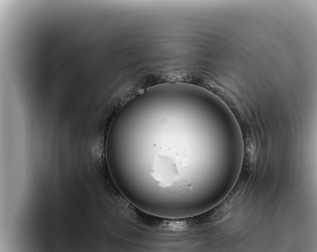 X0000095900665200801181247