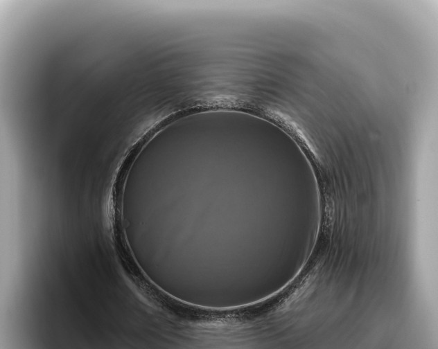 X0000095900674200801181246