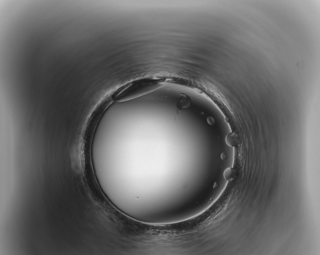 X0000095900676200801181246