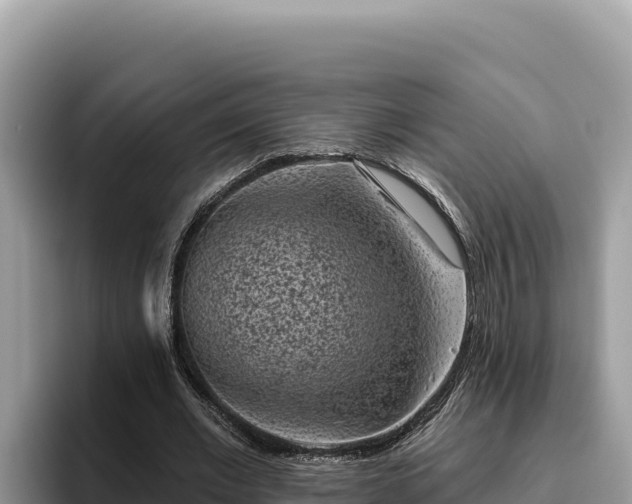 X0000095900677200801181246