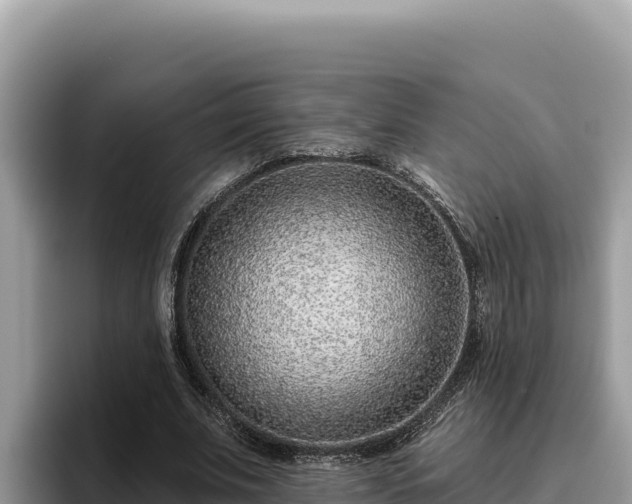 X0000095900679200801181246