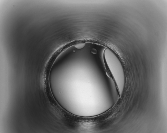 X0000095900680200801181246