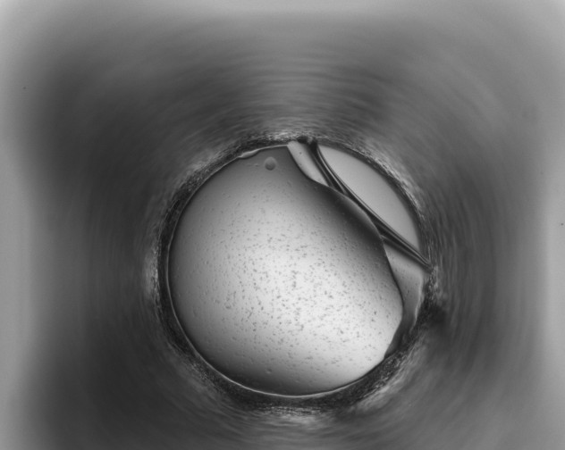 X0000095900681200801181246