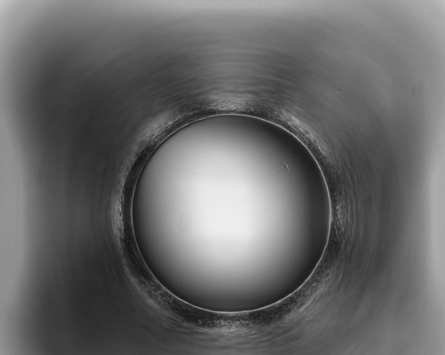 X0000095900682200801181246