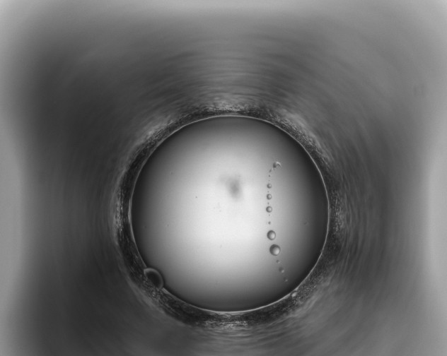 X0000095900683200801181246