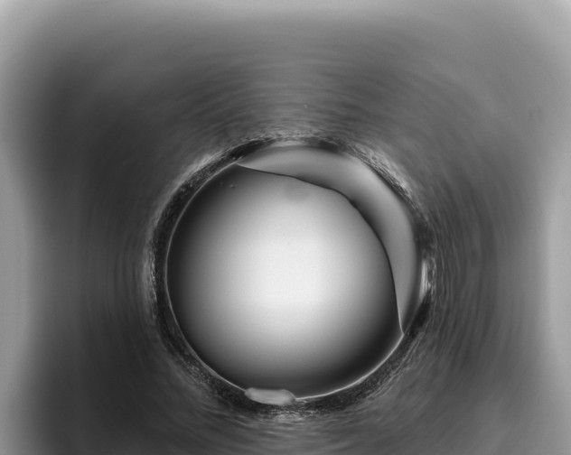 X0000095900684200801181246