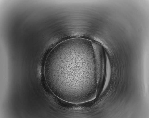 X0000095900685200801181246