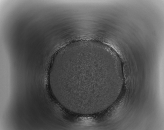 X0000095900689200801181246