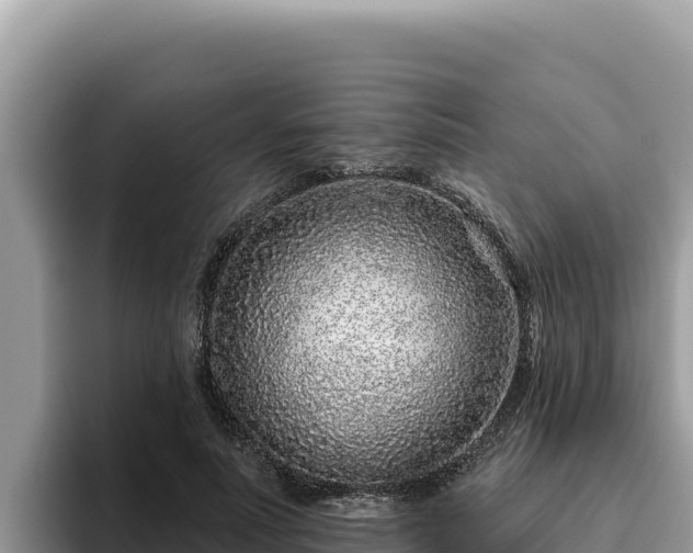 X0000095900691200801181246