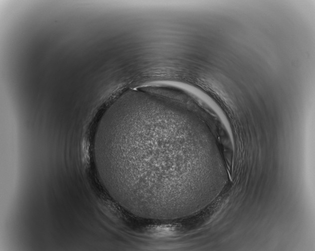 X0000095900692200801181246