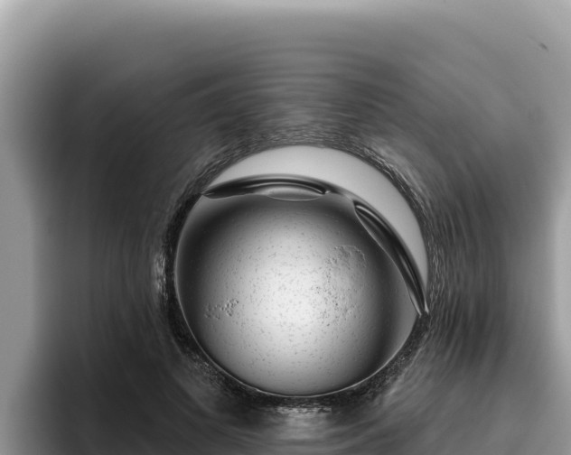 X0000095900693200801181246