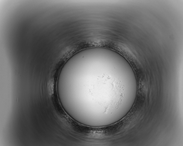 X0000095900694200801181246