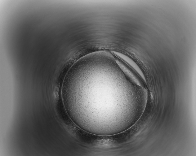 X0000095900695200801181246