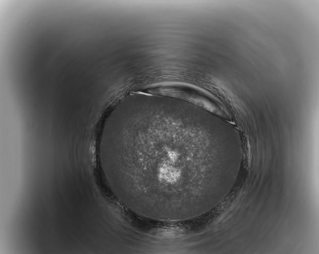 X0000095900696200801181246