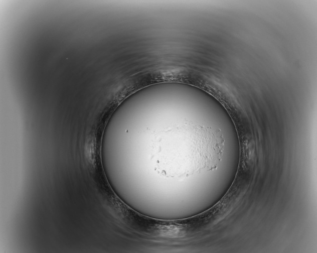 X0000095900698200801181246