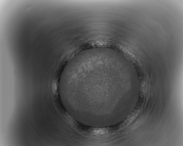 X0000095900709200801181246