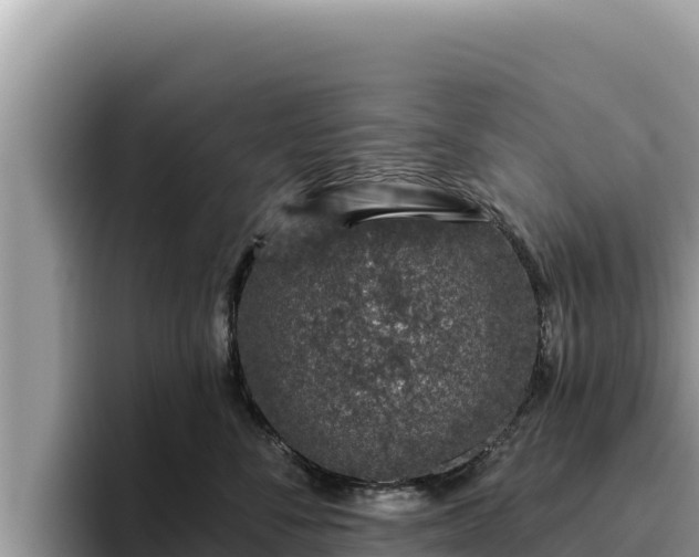 X0000095900716200801181246