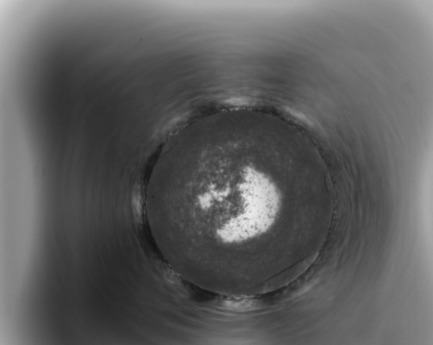 X0000095900720200801181246