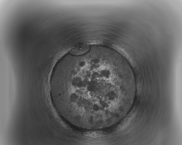 X0000095900721200801181245