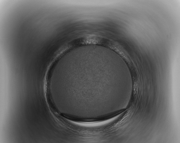 X0000095900722200801181245