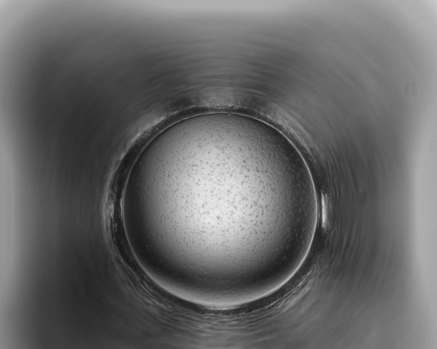 X0000095900723200801181245