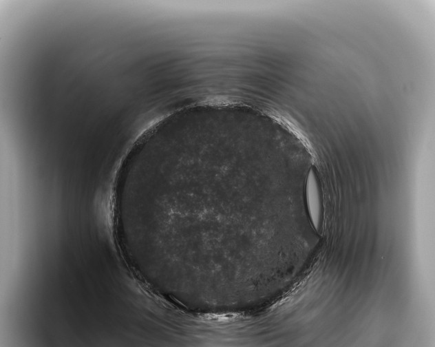 X0000095900724200801181245