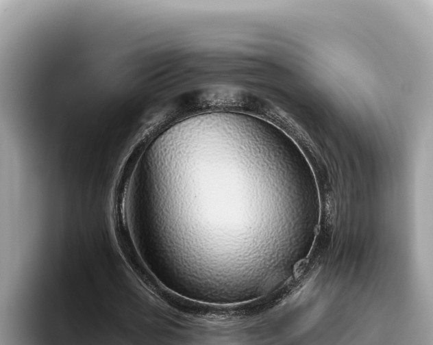 X0000095900725200801181245