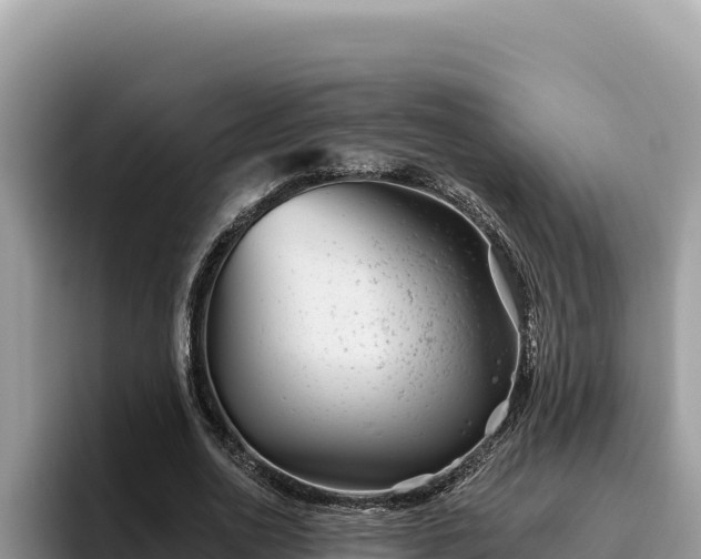 X0000095900726200801181245