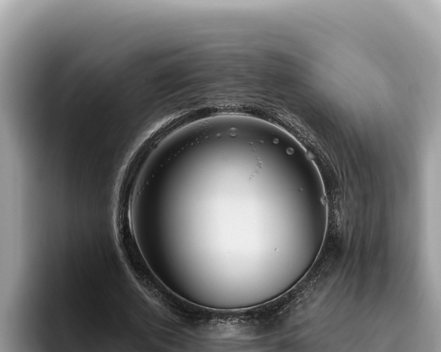 X0000095900728200801181245