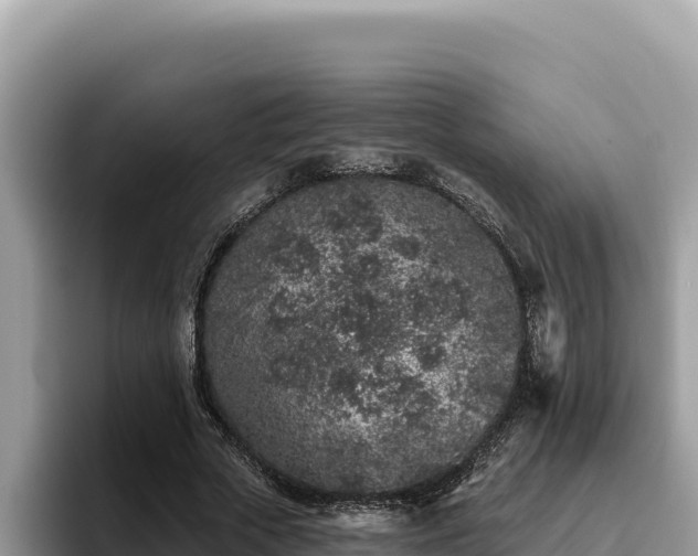 X0000095900729200801181245