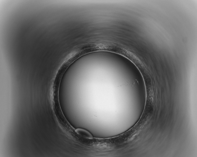 X0000095900730200801181245