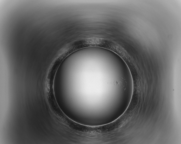 X0000095900731200801181245