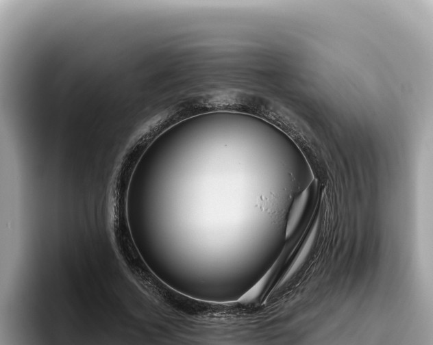 X0000095900732200801181245