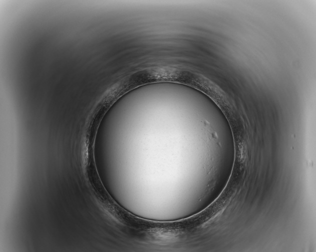 X0000095900733200801181245