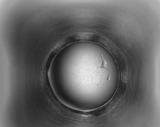 X0000095900735200801181245