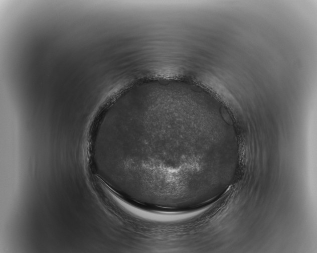 X0000095900736200801181245