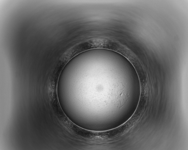 X0000095900737200801181245