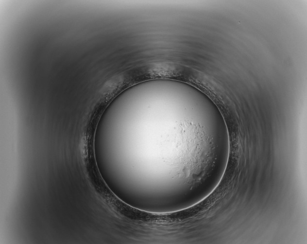 X0000095900738200801181245