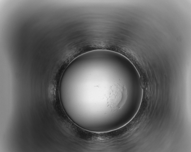 X0000095900739200801181245