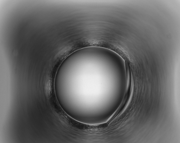 X0000095900740200801181245