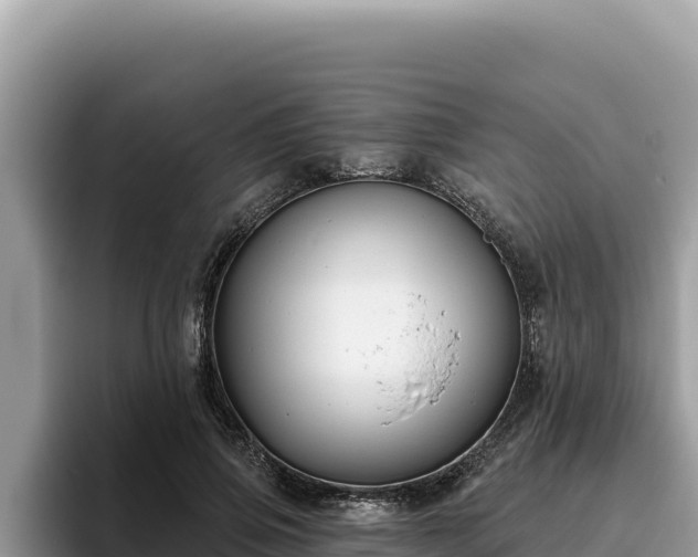 X0000095900741200801181245