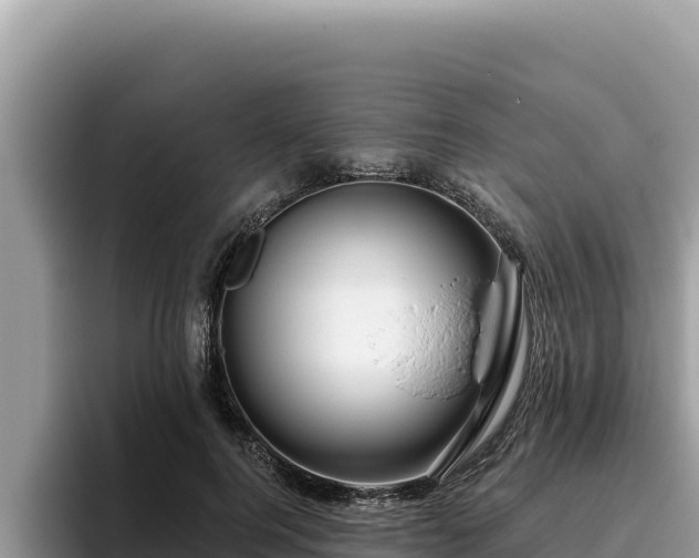 X0000095900744200801181245