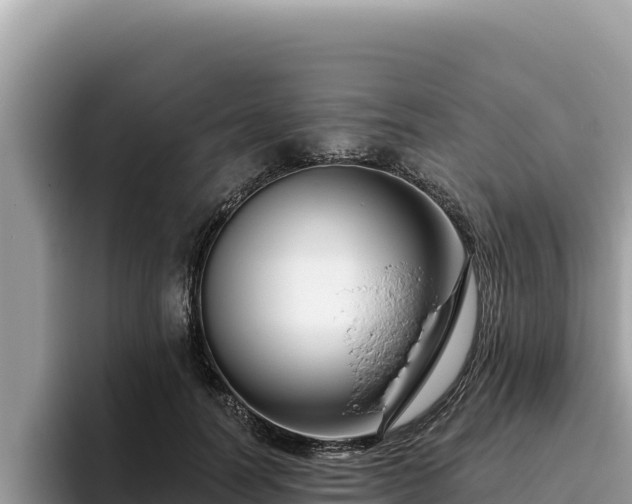 X0000095900746200801181245