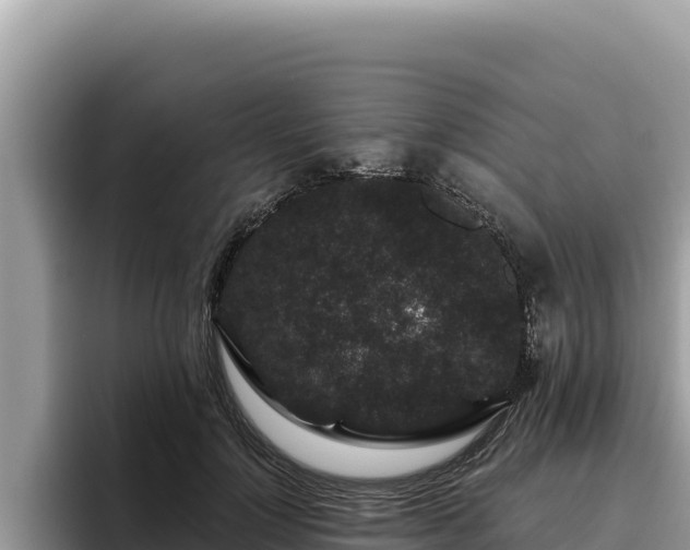 X0000095900748200801181245