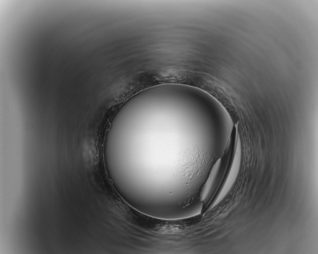 X0000095900751200801181245