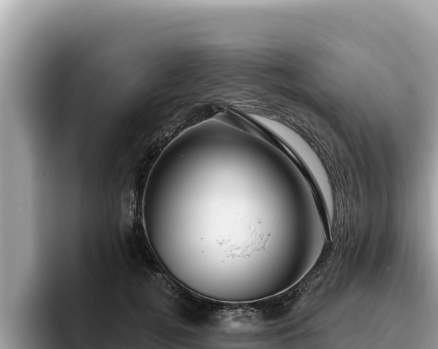 X0000095900752200801181245