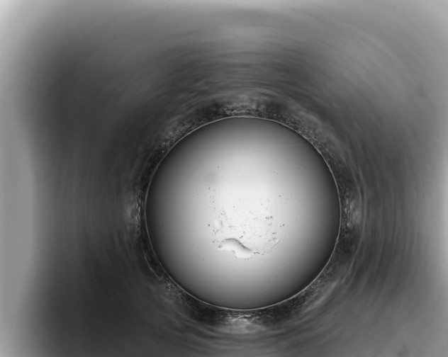 X0000095900753200801181245